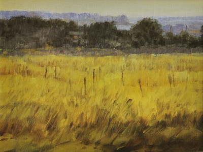 澳大利亚布里斯班风景之三