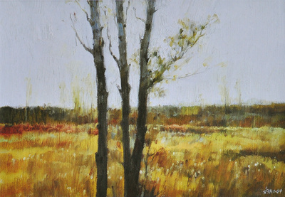 澳大利亚布里斯班风景之一